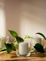 Load image into Gallery viewer, CANDWAX Unscented Ivory Votive Candles Set of 72 - Clean-Burning, Long-Lasting 15 Hour Burn - Ideal for Weddings, Home Décor, Spa, Events - Bulk Value for Versatile Use
