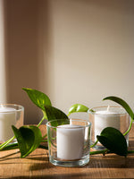 Load image into Gallery viewer, CANDWAX Unscented White Votive Candles Set of 72 - Clean-Burning, Long-Lasting 15 Hour Burn - Ideal for Weddings, Home Décor, Spa, Events - Bulk Value for Versatile Use
